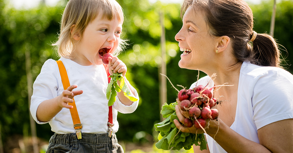 healthy-garden-snacks