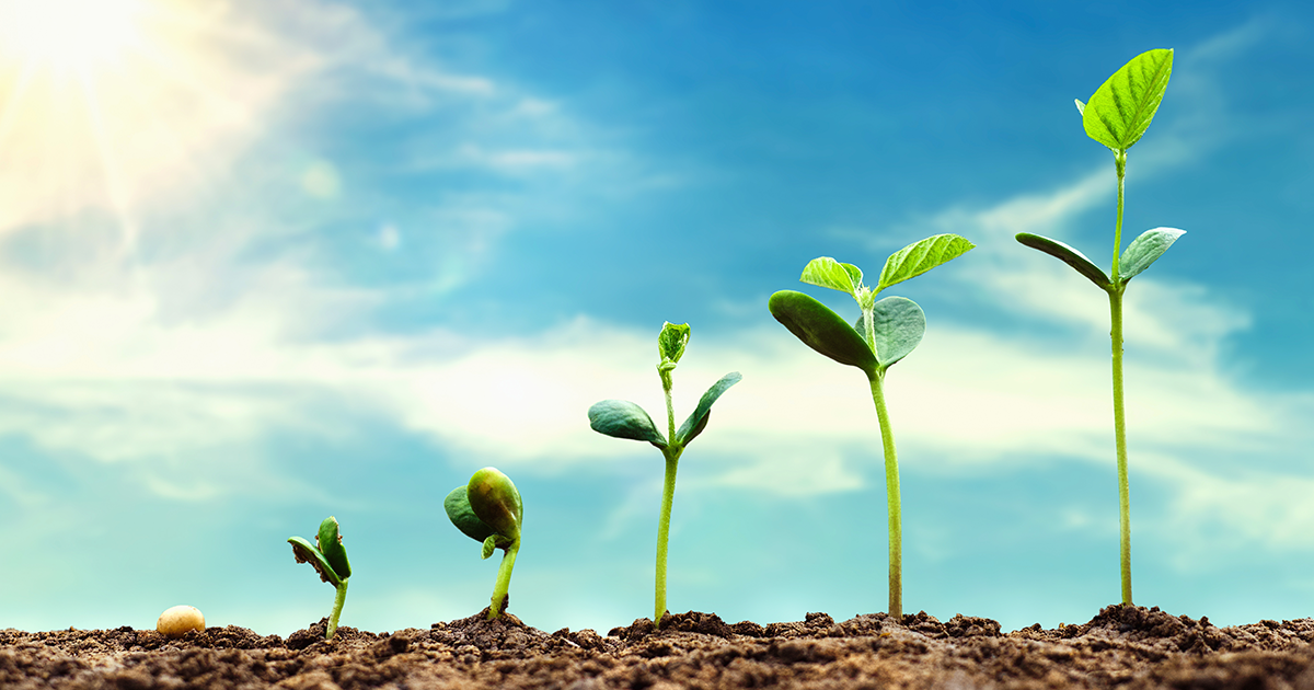 Policosanol (Triacontanol) supplier Policosanol (Triacontanol) supplier