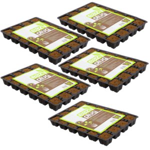 Eazy Plug CT 24 (5 Pack)