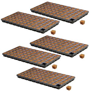 Eazy Plug CT66 (5 Pack)