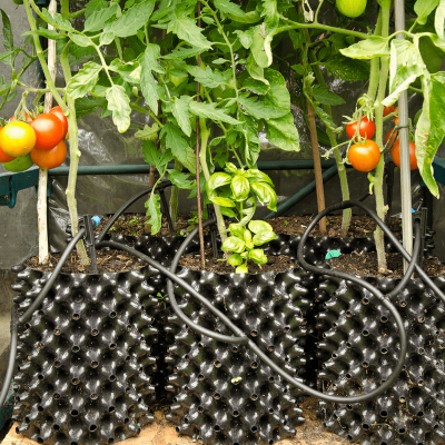 Air Pot No.2 (2 Gallon)