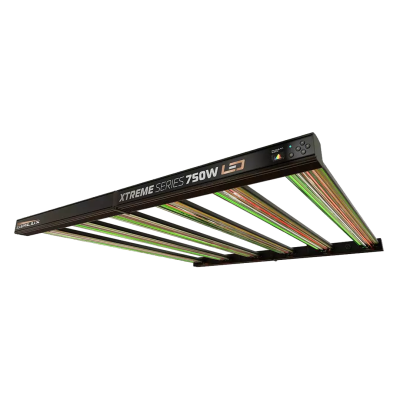 Dimlux Xtreme Series LED Fixture - 750W