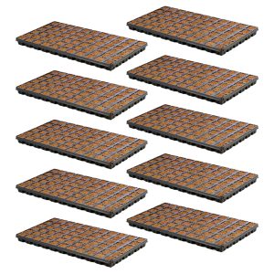 Eazy Plug CT66 (10 Pack)