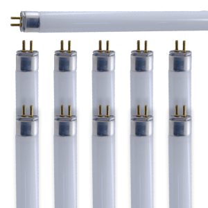 Plantmax – 24 Watt T5 Fluorescent HO 6,500K (10 Pack)