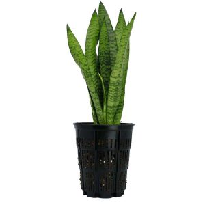 RediRoot Plastic Aeration Container