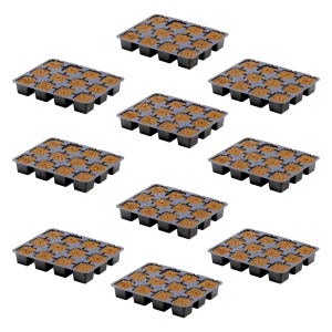 eazy-plug-ct-12-10-pack