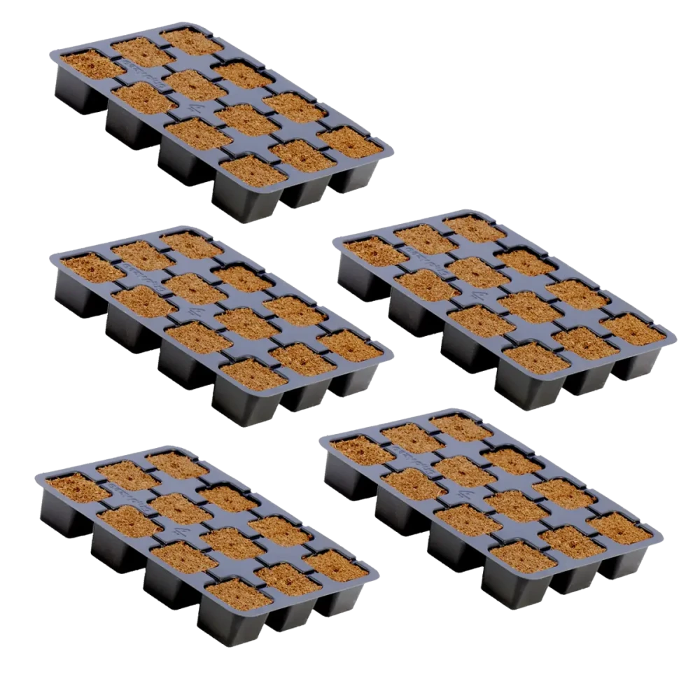 eazy-plug-ct-12-5-pack